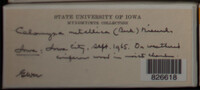 Image Associated With the Occurence